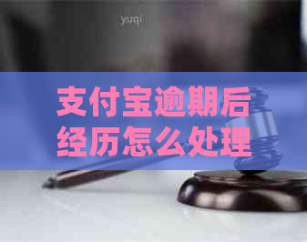 支付宝逾期后经历怎么处理