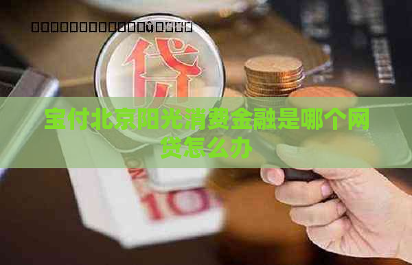 宝付北京阳光消费金融是哪个网贷怎么办