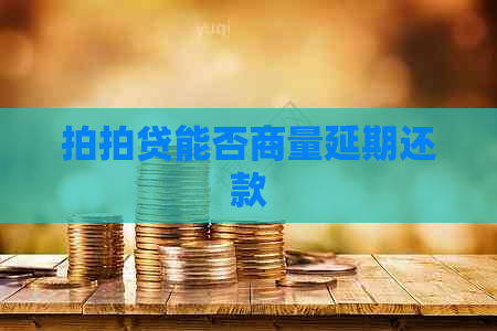 能否商量延期还款