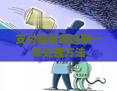 支付宝借呗逾期一年处理方法