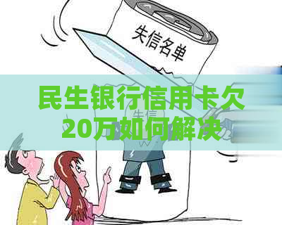 民生银行信用卡欠20万如何解决