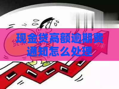 现金贷高额逾期费通知怎么处理