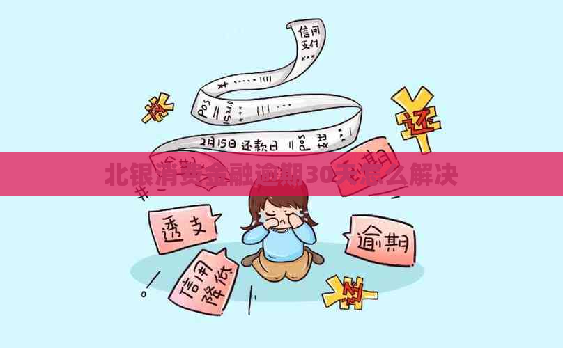 北银消费金融逾期30天怎么解决