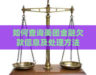 如何查询美团金融欠款信息及处理方法