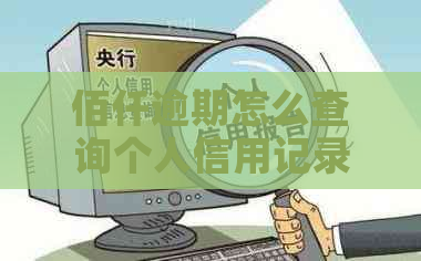 佰仟逾期怎么查询个人信用记录