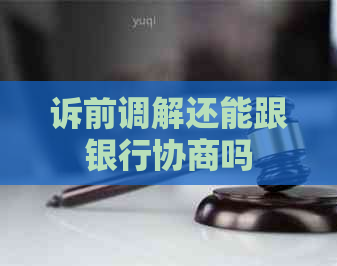 诉前调解还能跟银行协商吗