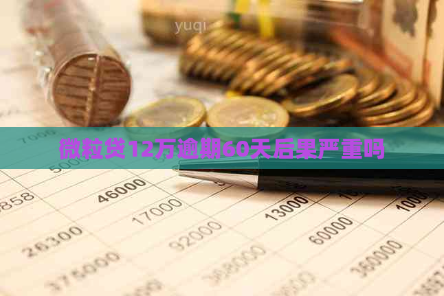 微粒贷12万逾期60天后果严重吗