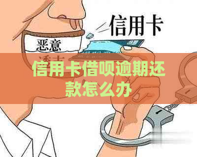 信用卡借呗逾期还款怎么办