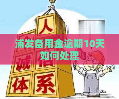 浦发备用金逾期10天如何处理