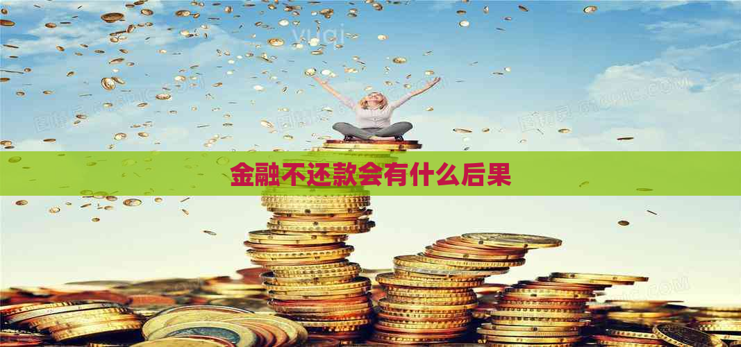 金融不还款会有什么后果