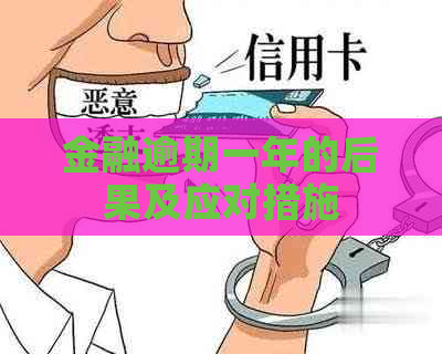 金融逾期一年的后果及应对措施