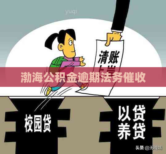 渤海公积金逾期法务