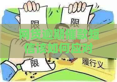 网贷逾期催款短信该如何应对