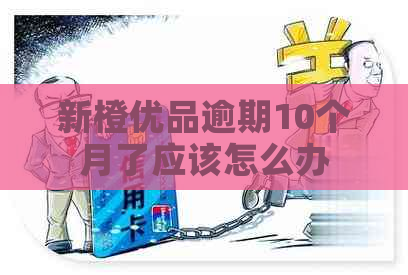 新橙优品逾期10个月了应该怎么办