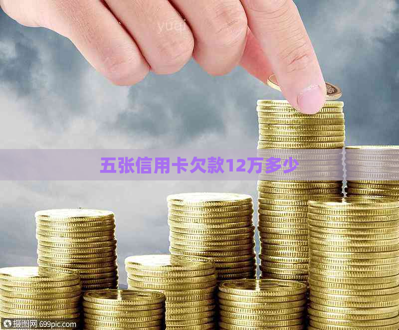 五张信用卡欠款12万多少