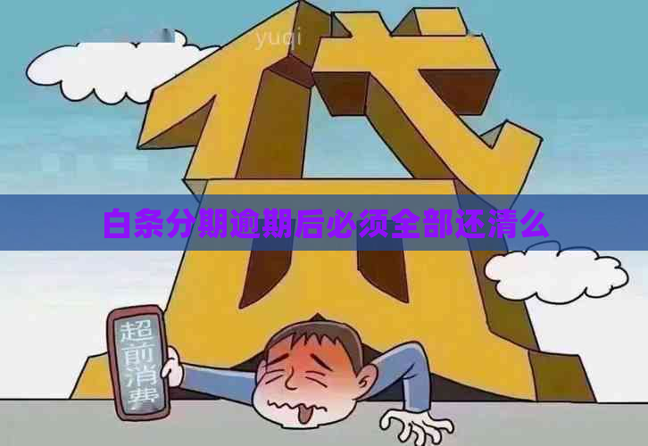 白条分期逾期后必须全部还清么