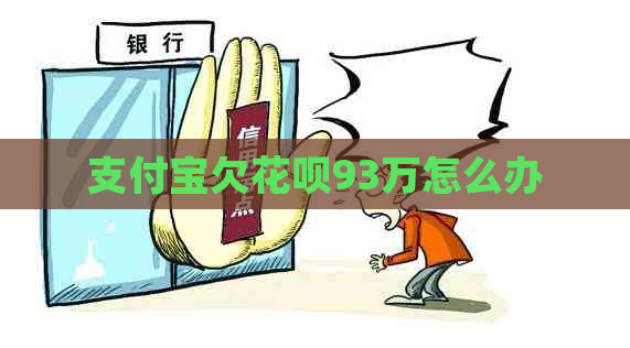 支付宝欠花呗93万怎么办