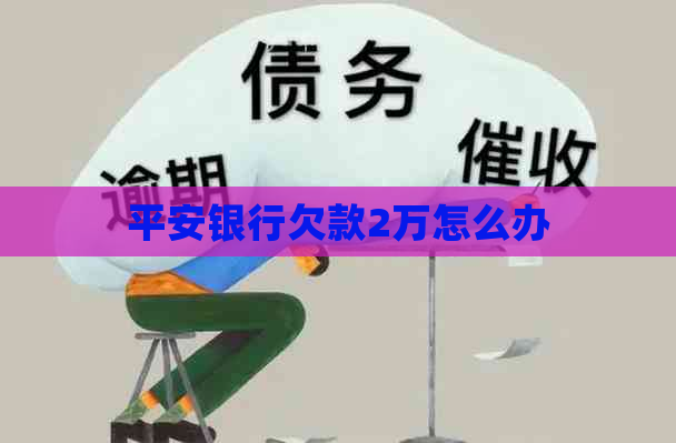 平安银行欠款2万怎么办