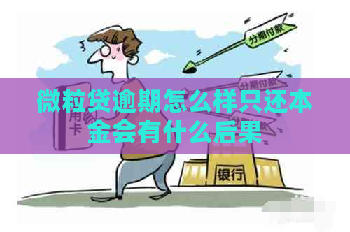 微粒贷逾期怎么样只还本金会有什么后果