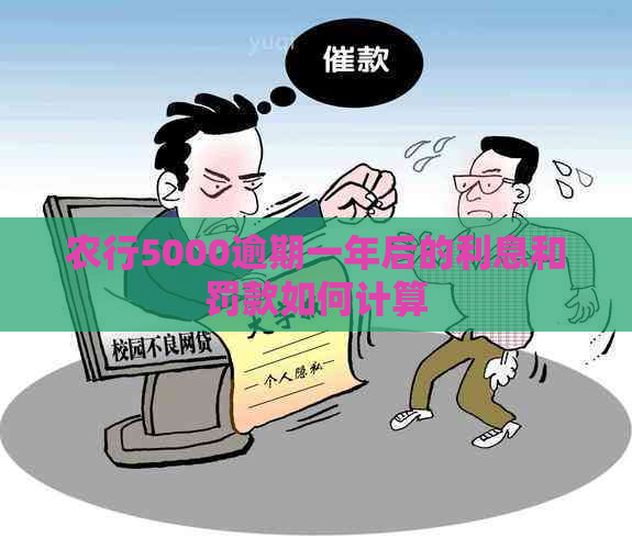 农行5000逾期一年后的利息和罚款如何计算