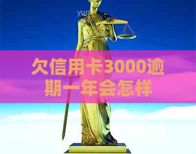 欠信用卡3000逾期一年会怎样