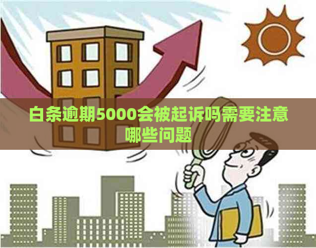 白条逾期5000会被起诉吗需要注意哪些问题