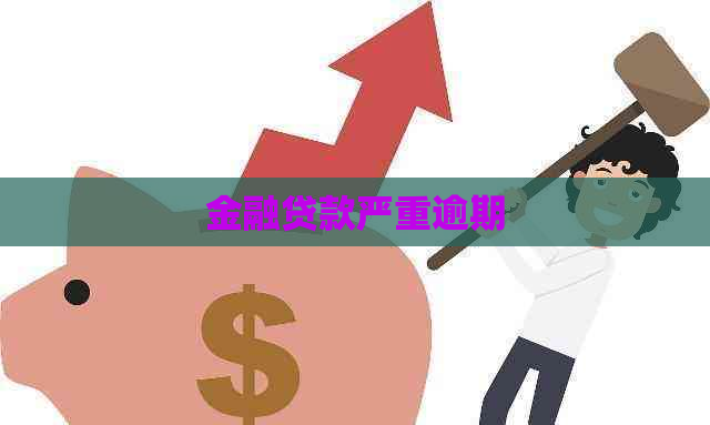 金融贷款严重逾期