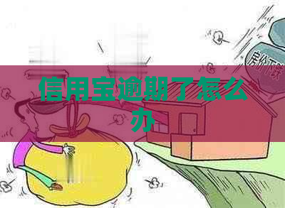 信用宝逾期了怎么办