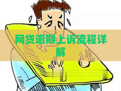 网贷逾期上诉流程详解