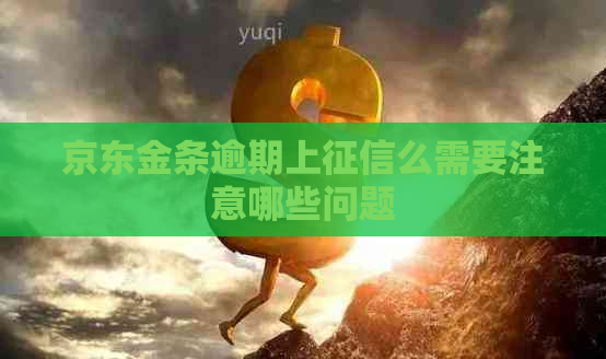 京东金条逾期上么需要注意哪些问题