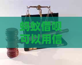 蚂蚁借呗可以用信用卡还款吗？安全吗？怎么操作？