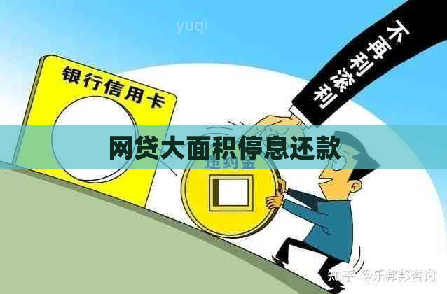 网贷大面积停息还款