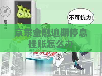 京东金融逾期停息挂账怎么办