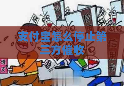 支付宝怎么停止第三方