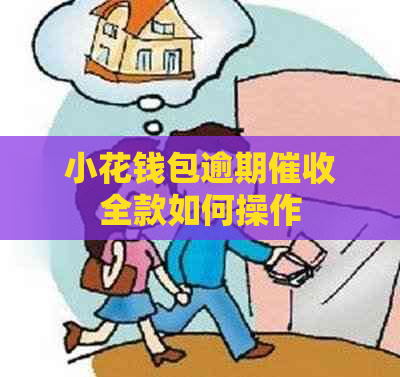 小花钱包逾期全款如何操作