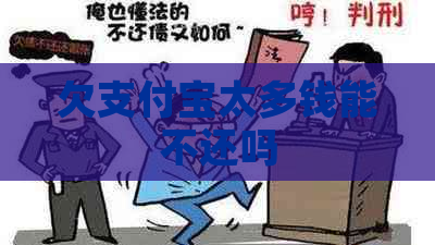 欠支付宝太多钱能不还吗