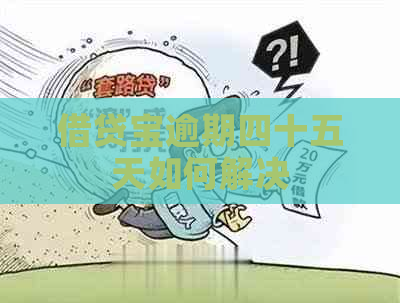 借贷宝逾期四十五天如何解决