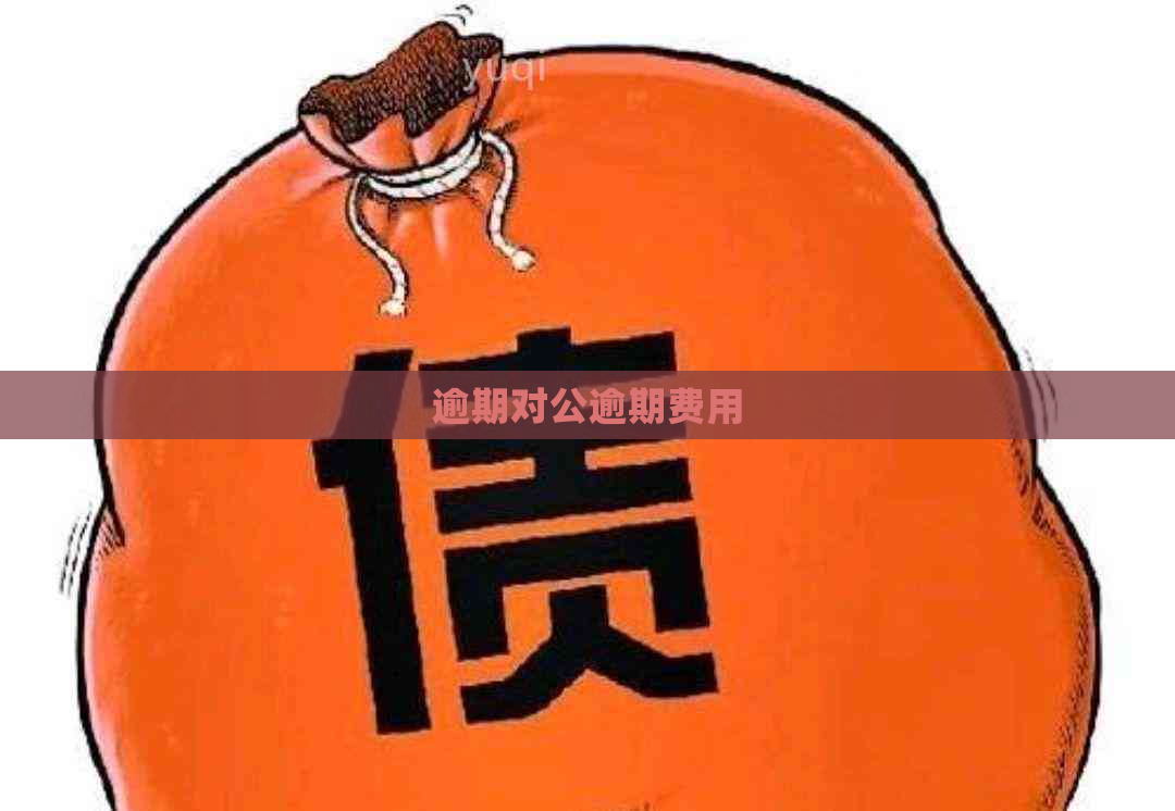 逾期对公逾期费用