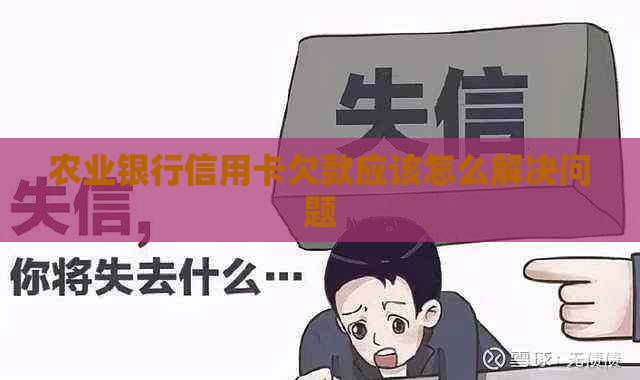 农业银行信用卡欠款应该怎么解决问题