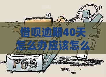 借呗逾期40天怎么办应该怎么处理