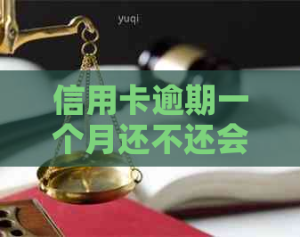 信用卡逾期一个月还不还会怎么样