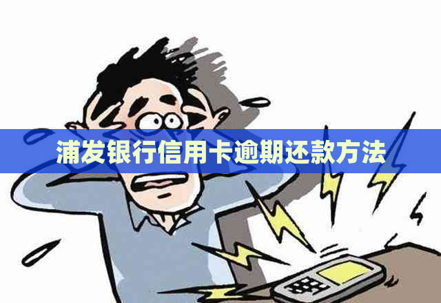 浦发银行信用卡逾期还款方法