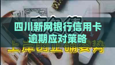 四川新网银行信用卡逾期应对策略