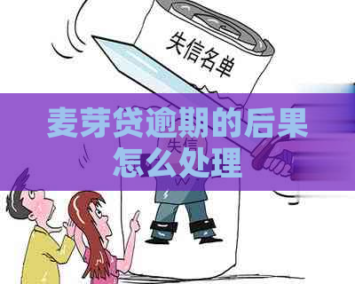 麦芽贷逾期的后果怎么处理