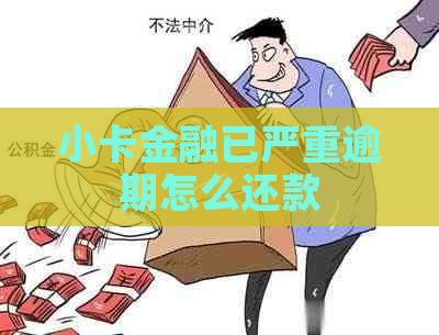 小卡金融已严重逾期怎么还款