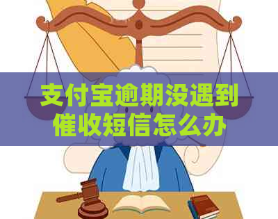 支付宝逾期没遇到短信怎么办