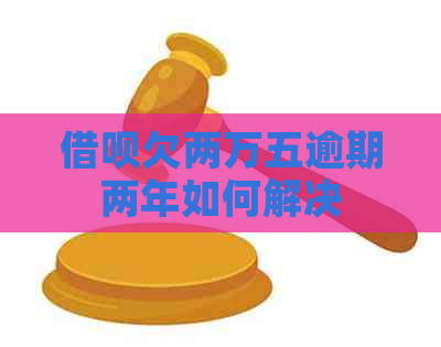 借呗欠两万五逾期两年如何解决