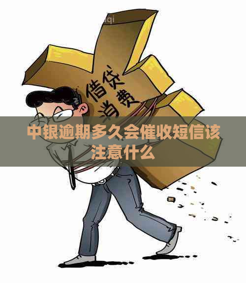 中银逾期多久会短信该注意什么