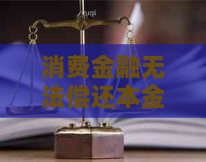 消费金融无法偿还本金怎么办