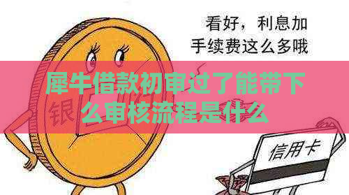 犀牛借款初审过了能带下么审核流程是什么